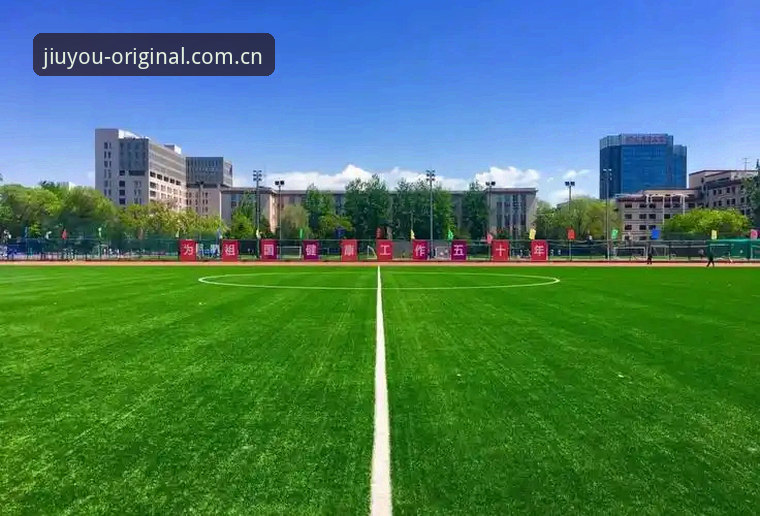 读懂索斯盖特退役后首部纪录片：九游平台观赛指南式解读